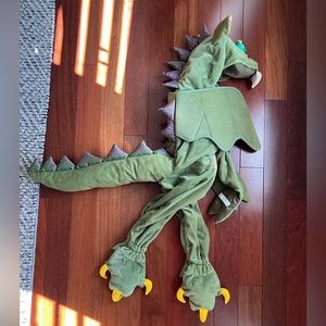 Dragon costume size 2T